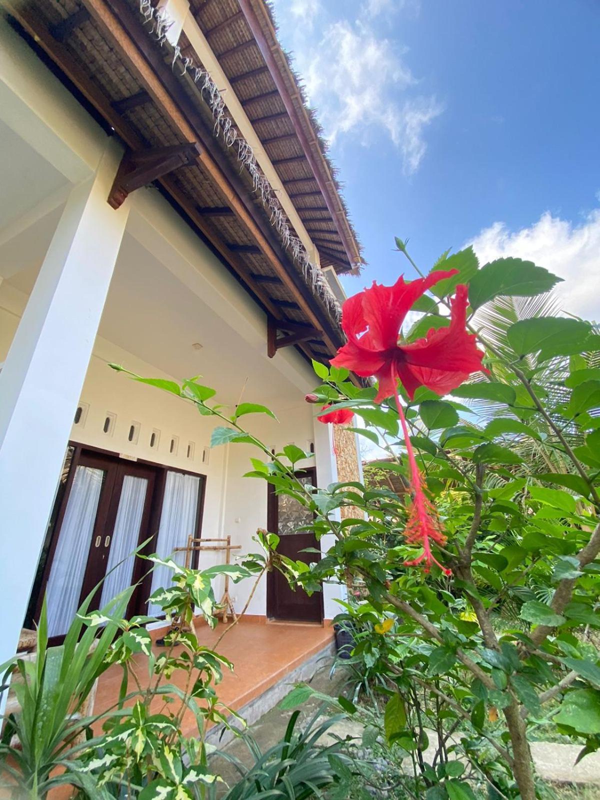 Cewin'S Homestay Kuta  Kamer foto